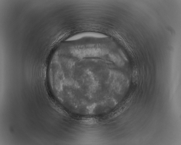 X0000116590454200912291311