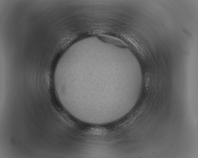 X0000116590455200912291311