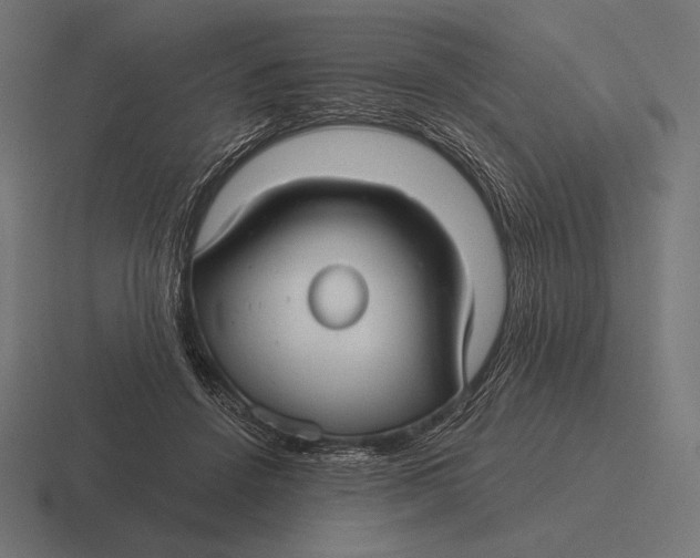 X0000116590456200912291311