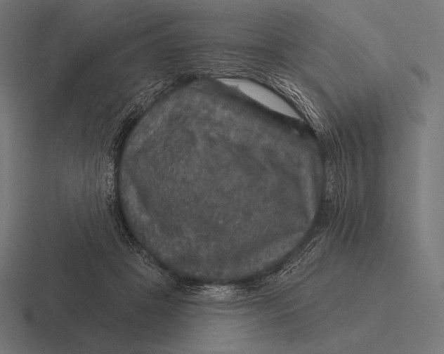 X0000116590457200912291311