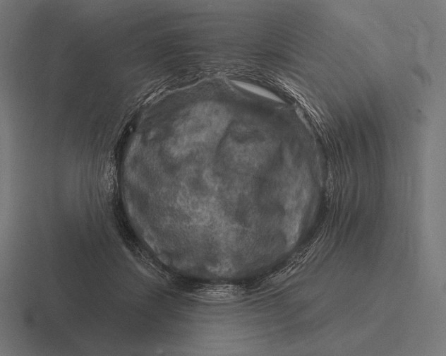 X0000116590459200912291311