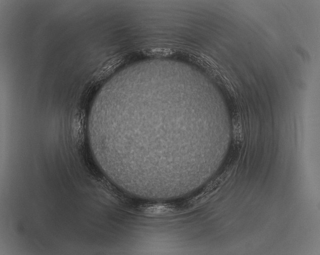 X0000116590460200912291311