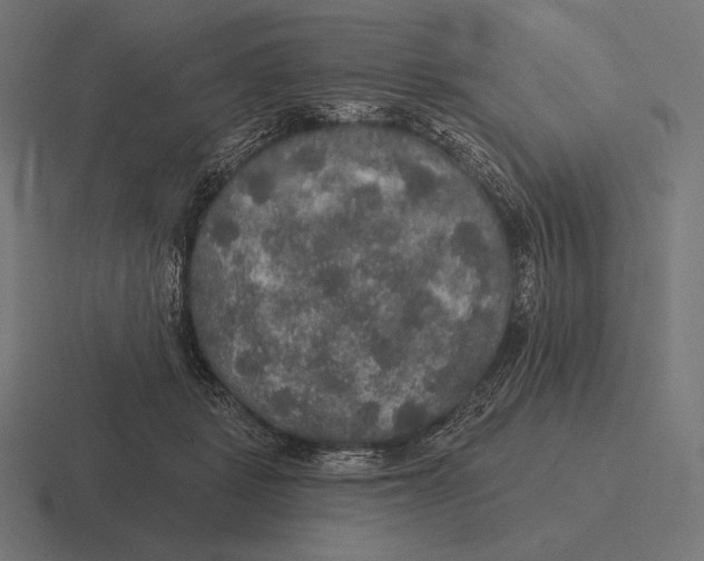 X0000116590461200912291311