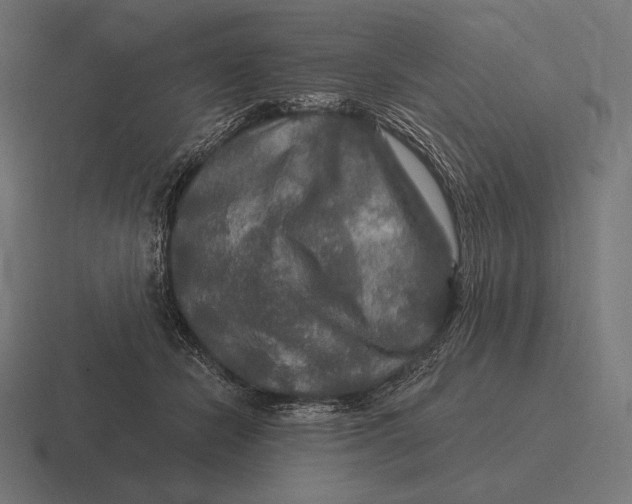 X0000116590462200912291311