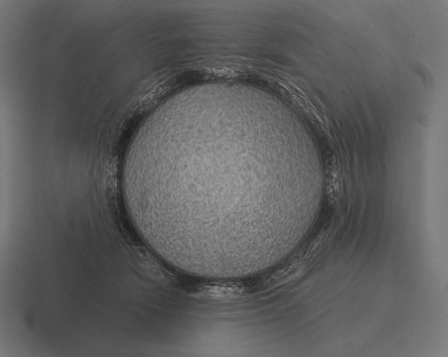 X0000116590466200912291311