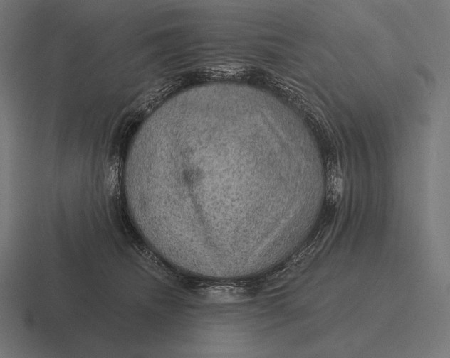 X0000116590468200912291311