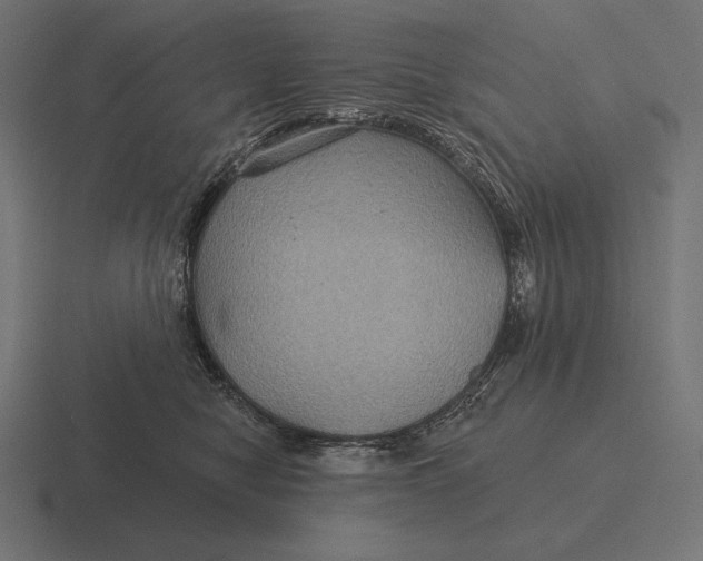 X0000116590470200912291311