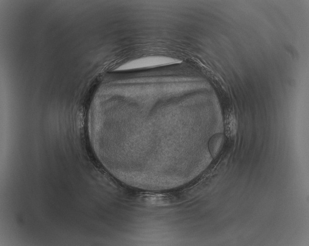 X0000116590472200912291312