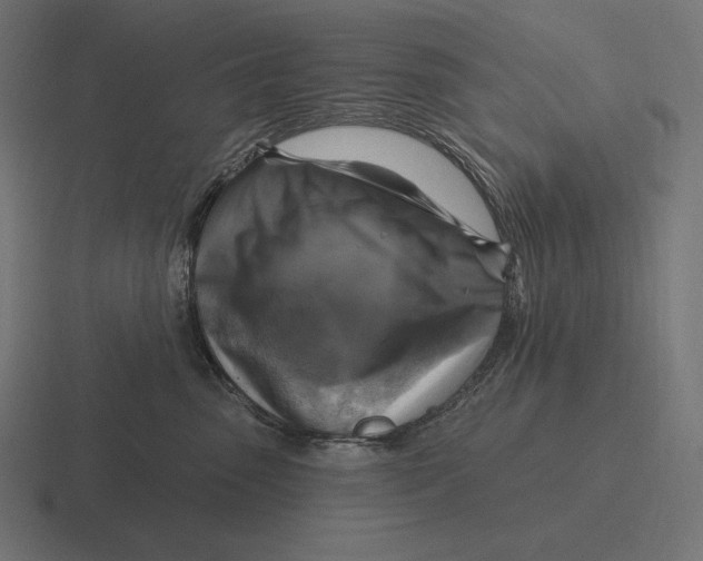 X0000116590475200912291312