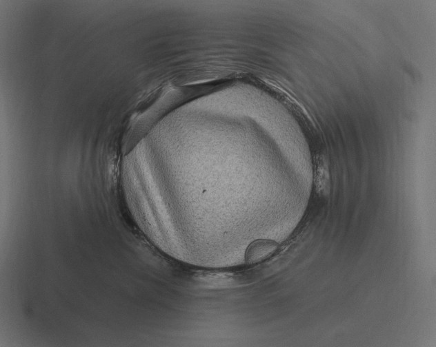 X0000116590476200912291312