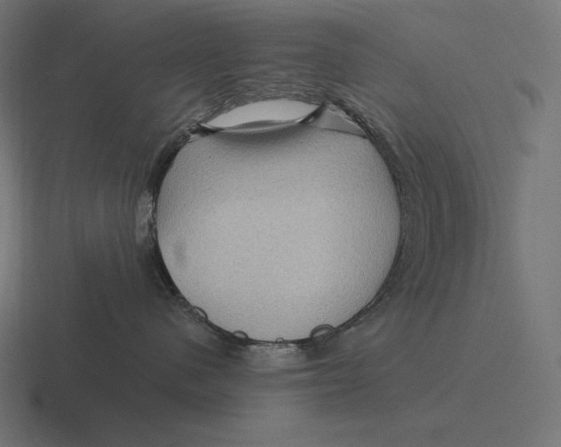 X0000116590480200912291312