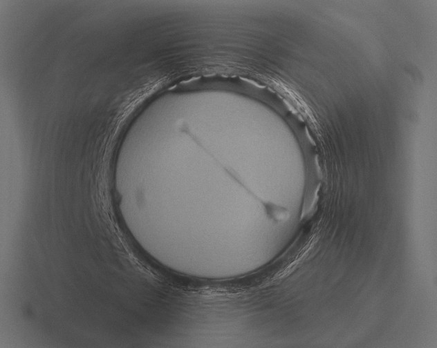 X0000116590481200912291311