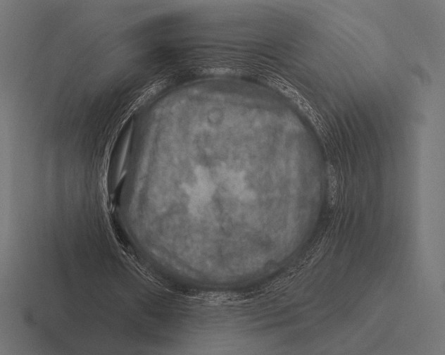 X0000116590482200912291311