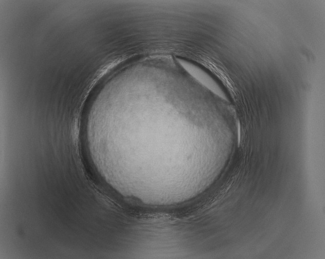 X0000116590483200912291311