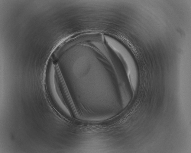 X0000116590484200912291311