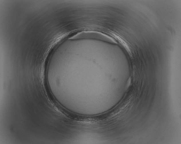 X0000116590485200912291311