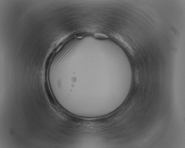 X0000116590486200912291311