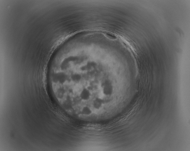 X0000116590487200912291311