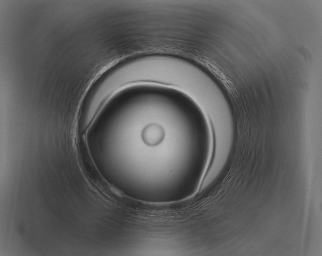 X0000116590488200912291311