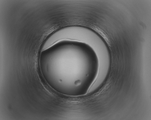 X0000116590489200912291311