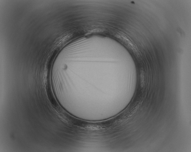 X0000116590490200912291311