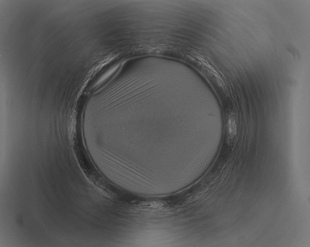 X0000116590492200912291311