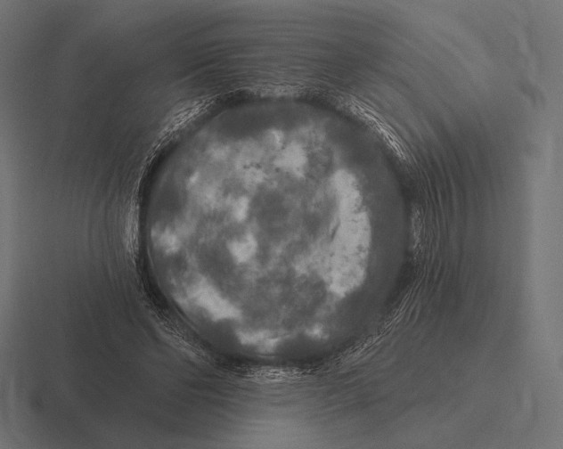 X0000116590494200912291311