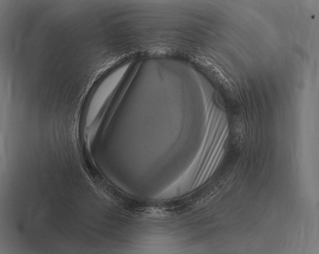 X0000116590496200912291311