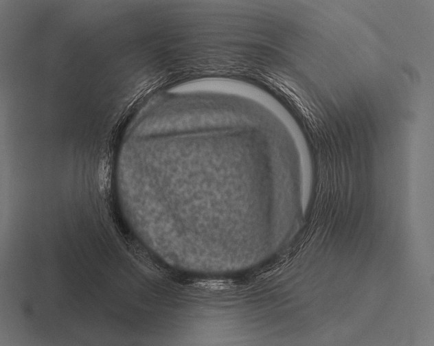 X0000116590499200912291311