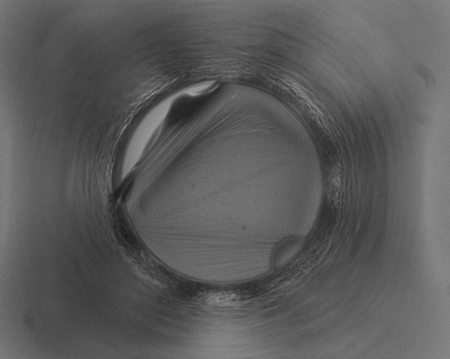 X0000116590500200912291311