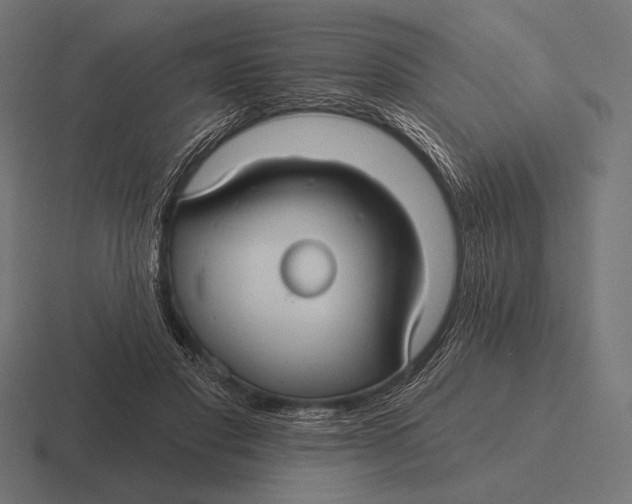 X0000116590501200912291311