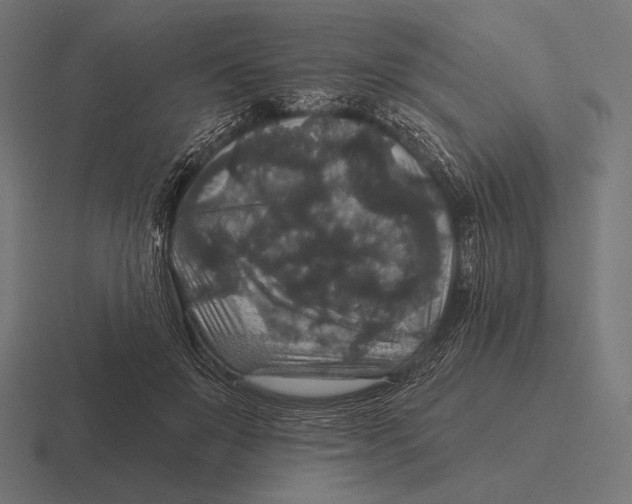 X0000116590503200912291311