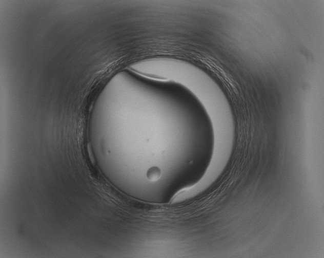 X0000116590505200912291311