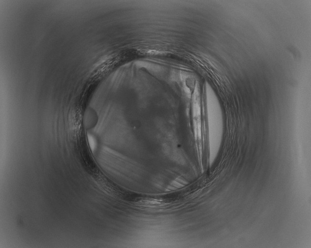 X0000116590507200912291311