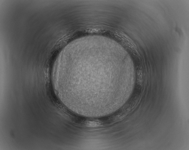 X0000116590510200912291311