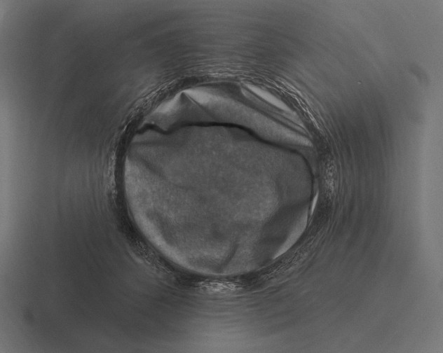 X0000116590512200912291311