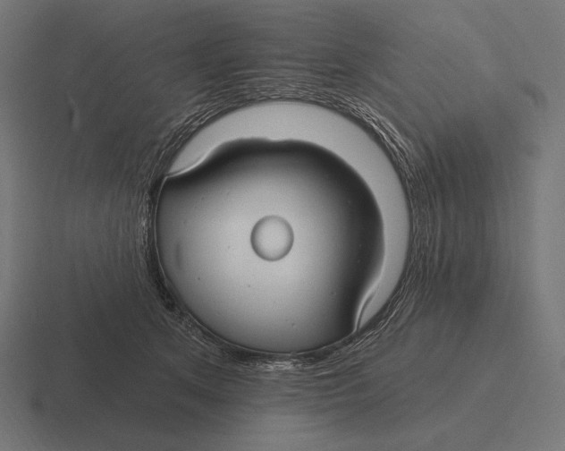 X0000116590513200912291311