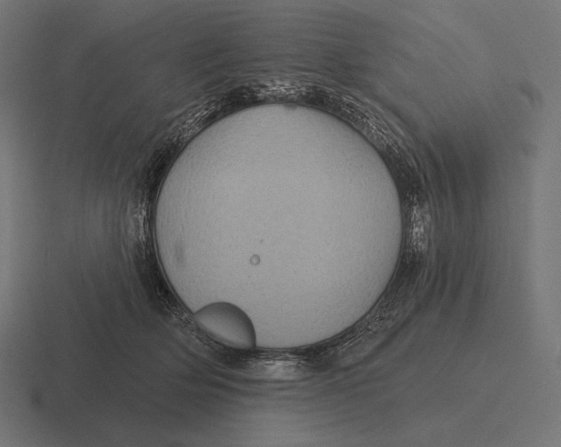 X0000116590514200912291311