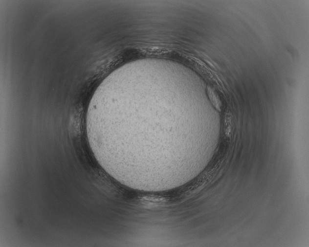 X0000116590515200912291311