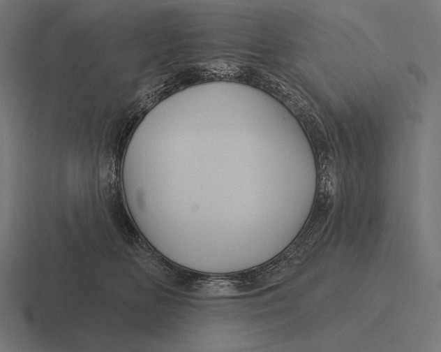 X0000116590518200912291311