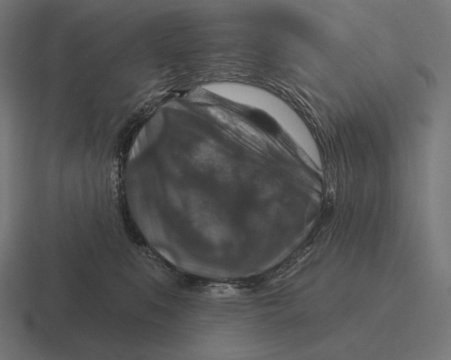 X0000116590519200912291311