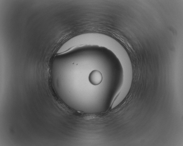 X0000116590521200912291311