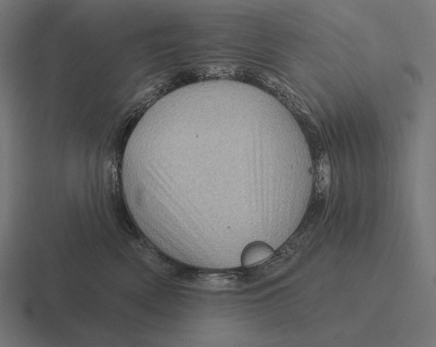 X0000116590522200912291310