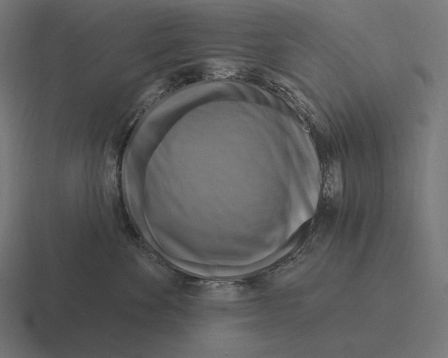 X0000116590524200912291310