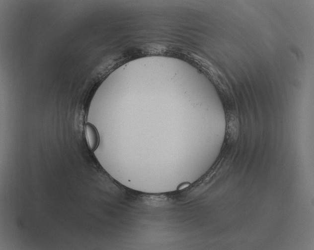 X0000116590525200912291310