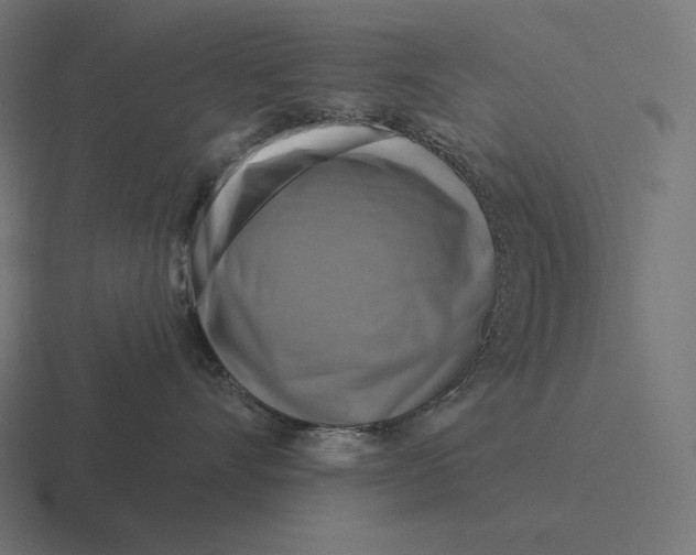 X0000116590528200912291310