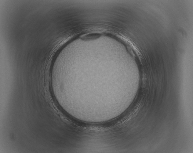 X0000116590529200912291310