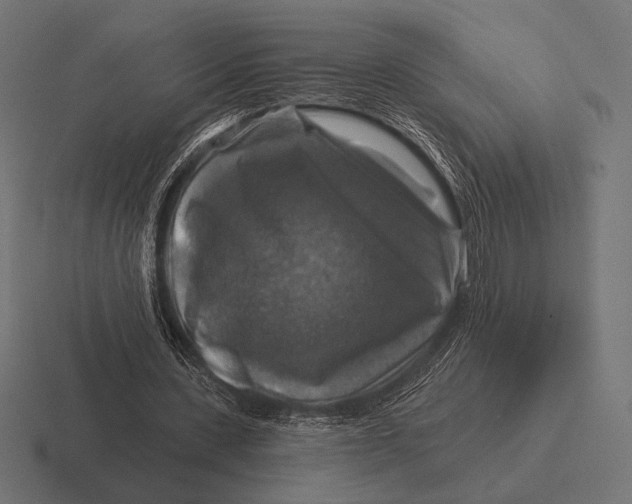 X0000116590531200912291310