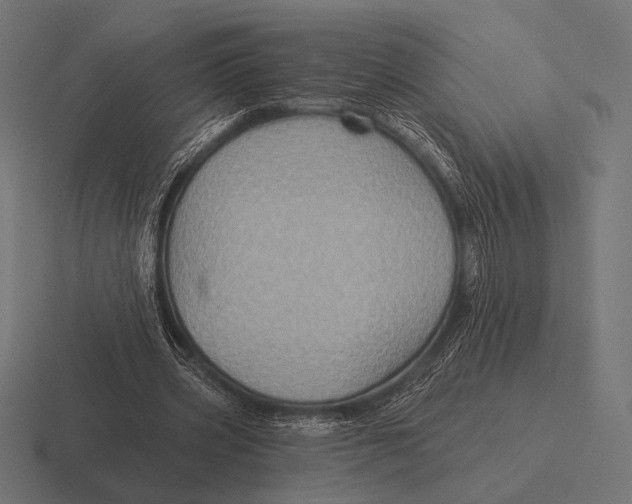 X0000116590533200912291310