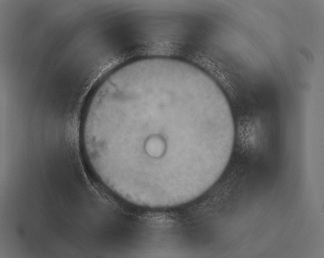 X0000116590534200912291310